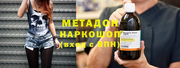 прущие грибы Белокуриха